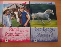 Rund um die Ponyfarm / Der Hengst von der Felseninsel Brandenburg - Potsdam Vorschau