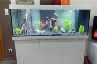 Juwel 450 Rio Aquarium mit Unterschrank Niedersachsen - Delmenhorst Vorschau