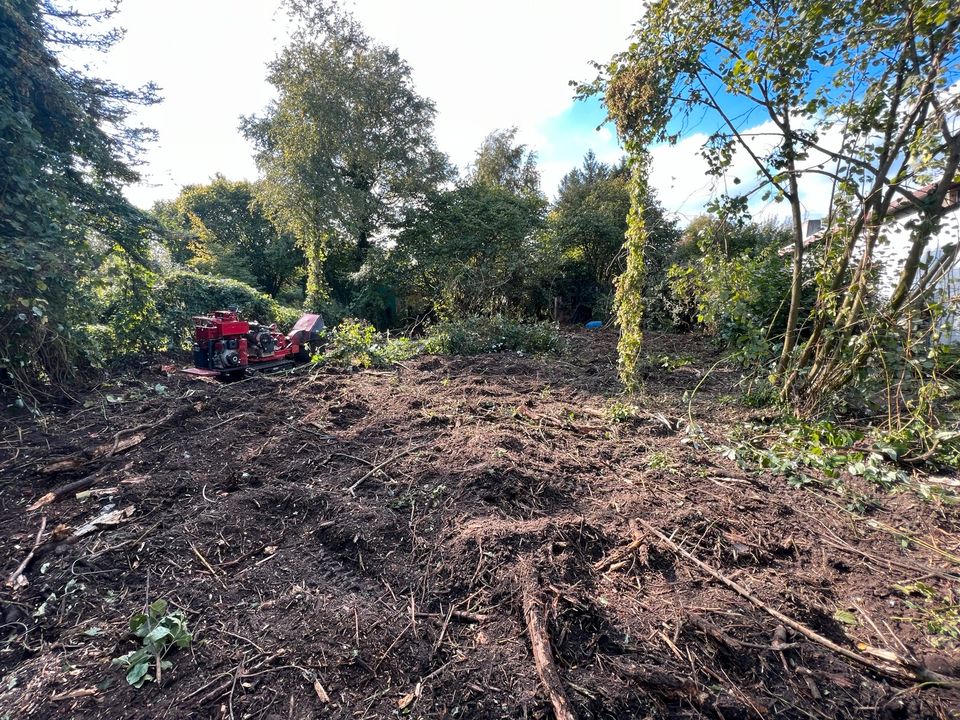 Baumwurzel entfernen, Stubbenfräsen, Baufeldrodung, Rodung in Langwedel