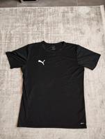 Herren Damen und Jugendliche T-Shirt Puma Drycell Saarland - Überherrn Vorschau