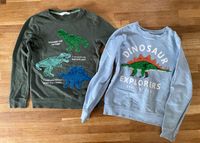 Pullover Pulli Set Dinosaurier Wendepailletten Gr.134/140 h&m Baden-Württemberg - Freiburg im Breisgau Vorschau