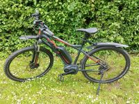 Univega LTD 2.9 SONDERMODELL 29" ebike Bosch Damen & Herren Nordrhein-Westfalen - Bad Honnef Vorschau