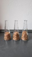 3 kleine Glas Vasen, korkschnipsel, Schale Bayern - Augsburg Vorschau