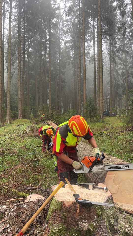 Baumpflege SKT Gartenpflege Entsorgung Häckseln Forst Fällung in Ehrenfriedersdorf