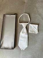 Wilvorst Krawatte Plastron Fliege Weiß Creme A0612 Harburg - Hamburg Heimfeld Vorschau