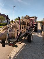 Sehr stabiler Rückewagen (Holzwagen) Baden-Württemberg - Gutenzell-Hürbel Vorschau