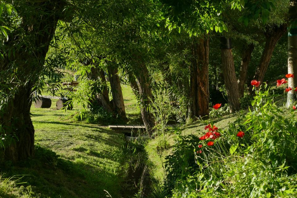 Ferienhaus Weserbergland - Urlaub mit Hund in Wesertal