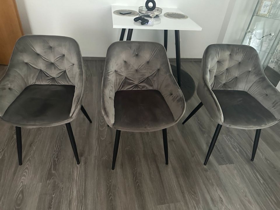 Samt Stühle in grau 3 Stück in Lüdenscheid