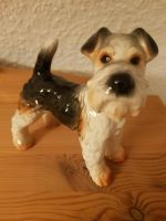 Porzellan Hund Airedale von Goebel verkaufe ich. Hessen - Beerfelden Vorschau