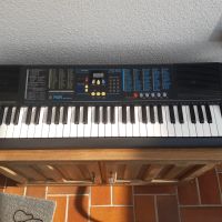 Keyboard gebraucht Rheinland-Pfalz - Plein Vorschau