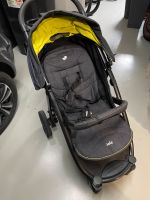 Joie Kinderwagen Rheinland-Pfalz - Gau-Bickelheim Vorschau