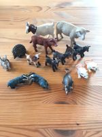 Schleich Schaf, Ziegen, Kälbchen  Hase, Igel u.Waschbären Nordrhein-Westfalen - Nümbrecht Vorschau