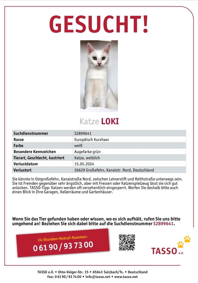 Findet Loki in Großefehn