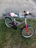 Fahrrad für das Mädchen Sachsen - Bad Dueben Vorschau