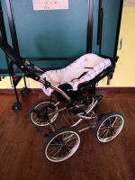 Kinderwagen Bergsteiger Mecklenburg-Vorpommern - Pripsleben Vorschau