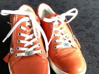 Caprice Damenschuhe Nordrhein-Westfalen - Ahlen Vorschau