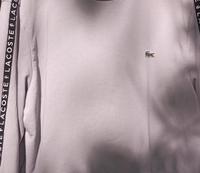 Lacoste Sweatshirt grau Größe L original!!! Hannover - Südstadt-Bult Vorschau
