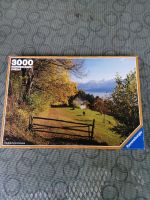 Ravensburger Puzzle 3000 Teile  1987  vollständig Thüringen - Stützerbach Vorschau