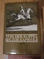 Pferdebuch Reitlehre Dressurreiten alte Bücher Pferdefachbücher Schleswig-Holstein - Tappendorf Vorschau