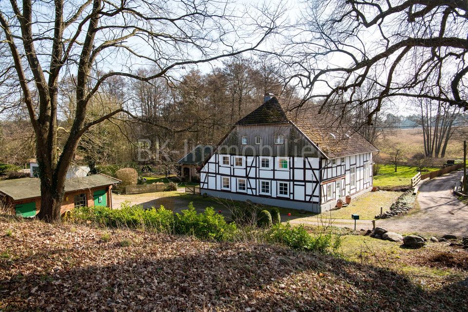 „Die Goderner Wassermühle“ – ein Denkmal der mecklenburgischen Geschichte in Hamburg