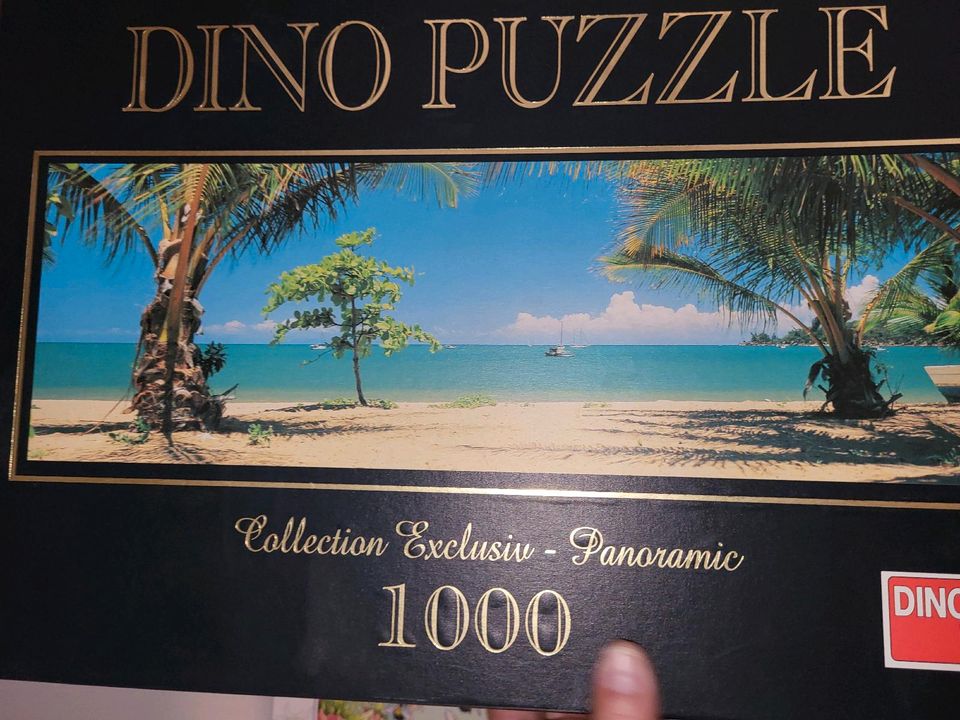 15 x Puzzle in Radolfzell am Bodensee