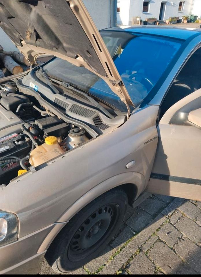 Opel Astra G 1.6 16V zu verkaufen in Altheim (Alb)