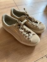 Puma Schuhe Sachsen-Anhalt - Elsteraue Vorschau