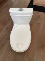 Kinder Töpfchen Toilette mit Sound Bayern - Röthenbach Vorschau