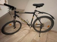 Specialized Rockhopper Bayern - Burgthann  Vorschau