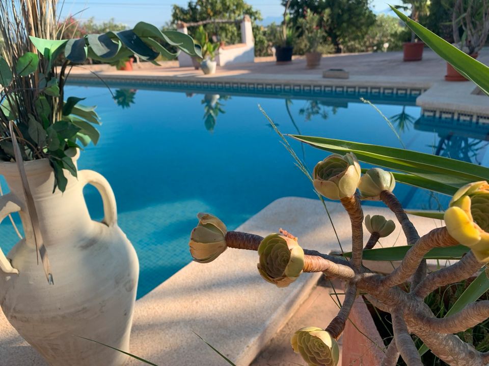 Ferienwohnung Finca Mallorca für 6 Personen-130 qm/ Fincaurlaub im Norden Mallorcas in Bad Camberg