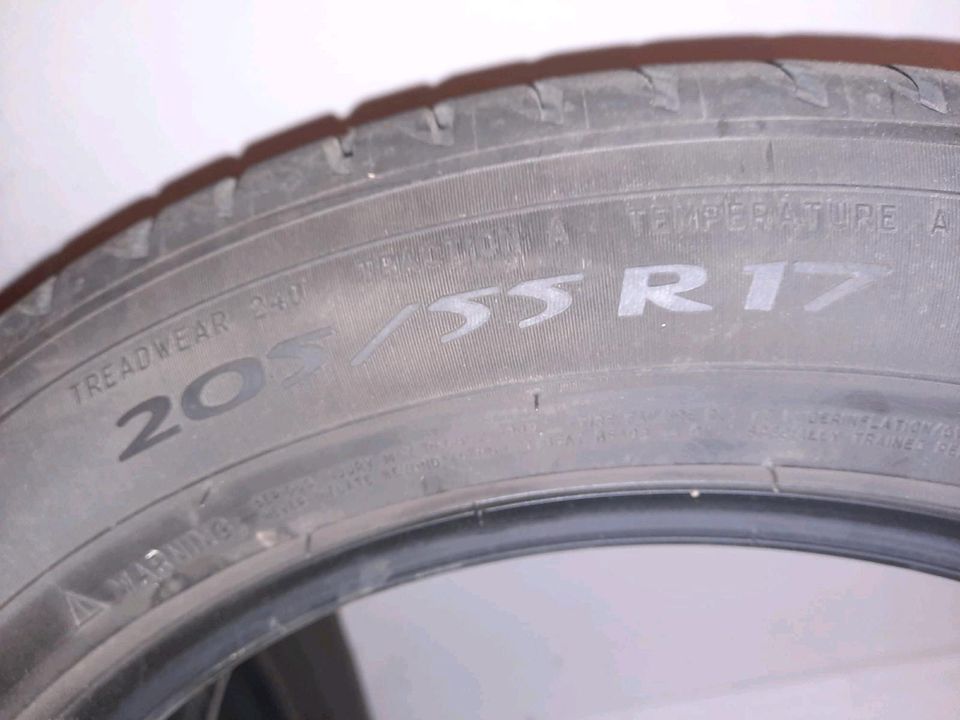 4 Sommerreifen Michelin 205/55R/17 in Steinhagen