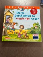 Kinderbuch sehr guter Zustand lesemaus Niedersachsen - Lutter am Barenberge Vorschau