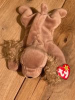 Spunky TY Beanie Baby Hund Nordrhein-Westfalen - Inden Vorschau