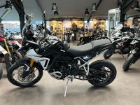 Triumph Tiger 900  Rally Pro, Mdj.2024 Nordrhein-Westfalen - Goch Vorschau