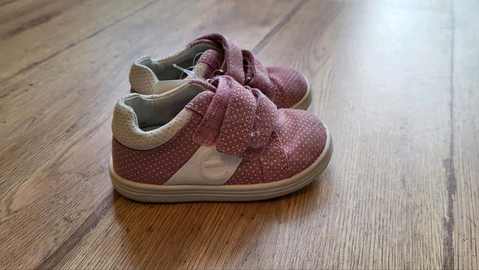 Elefanten Kinder Schuhe Gr. 20 in Baddeckenstedt