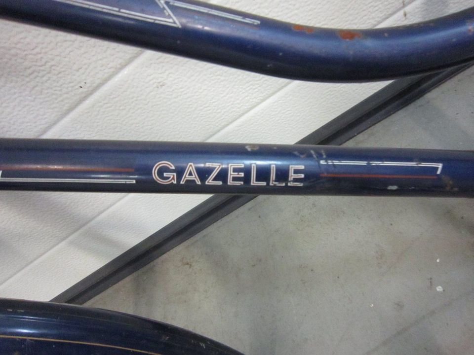 Konvolut Fahrrad Teile,Gazelle Damen,Nostalgie Union Rahmen...... in Grefrath