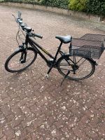 Fahrrad, Damenfahrrad, Kalkhoff, Agattu HS27 Damen Neumünster - Wasbek Vorschau