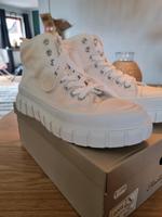 Schuhe/Chucks/Sneaker Größe 40 ungetragen Schleswig-Holstein - Itzehoe Vorschau