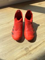 Fußballschuhe 31 Adidas preditor Herzogtum Lauenburg - Ziethen b. Ratzeburg Vorschau