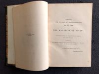 The Magazine of Botany // Joseph Paxton // Vol. III Bayern - Aschaffenburg Vorschau