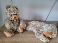 Teddybär Teddy Bär Plüschtier Hermann Zotty alt Hamburg-Mitte - Hamburg Billstedt   Vorschau