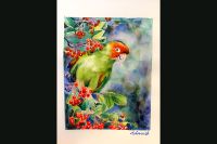 Papagei original Aquarell Kunst Werk von mir gemalt, parrot Berlin - Charlottenburg Vorschau