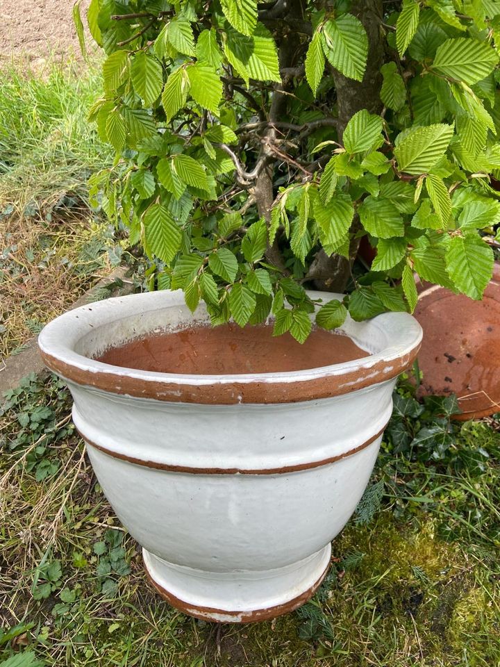 Keramik Pflanzentopf Blumentopf in Nersingen