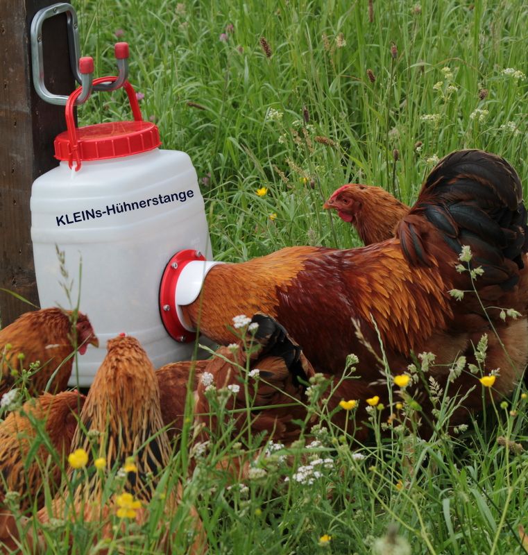 Einsatz Futterspender Futterautomat Trog Hühner Küken Stall in Göcklingen