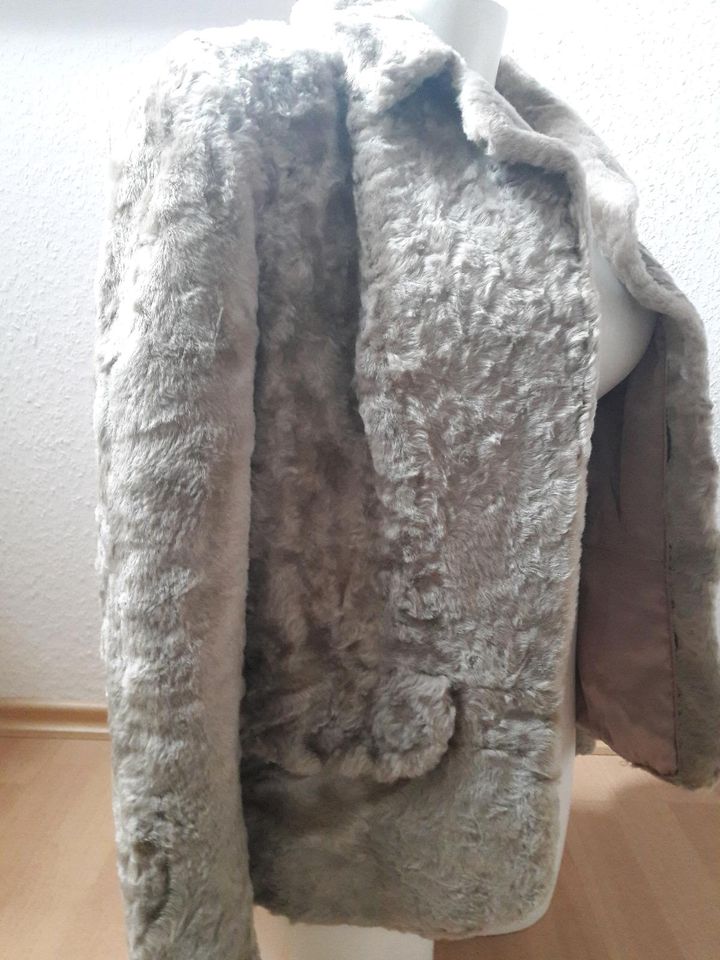 Jacke Blazer Größe 36 in Steinhagen