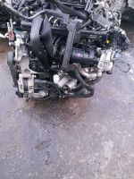 Motor  D4HB 2.2.0D 200ps  KIA Sportage Sorento HYUNDAI  Santa Fe Mecklenburg-Vorpommern - Neubrandenburg Vorschau