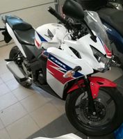 Suche Honda CBR 125 250 jc34 jc39 jc50 cbr500 cbf600 Nordrhein-Westfalen - Petershagen Vorschau