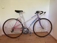 Nishiki Modulus Damen Rad Rennrad Shimano Rh 54 Rose wie neu Essen - Essen-West Vorschau