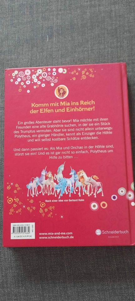 Mia and Me Buch Der versteckte Schatz Elfen Feen Einhorn in Münchweiler an der Rodalb