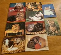 DDR Postkartensammlung Hunde und Katzen Sachsen - Meißen Vorschau